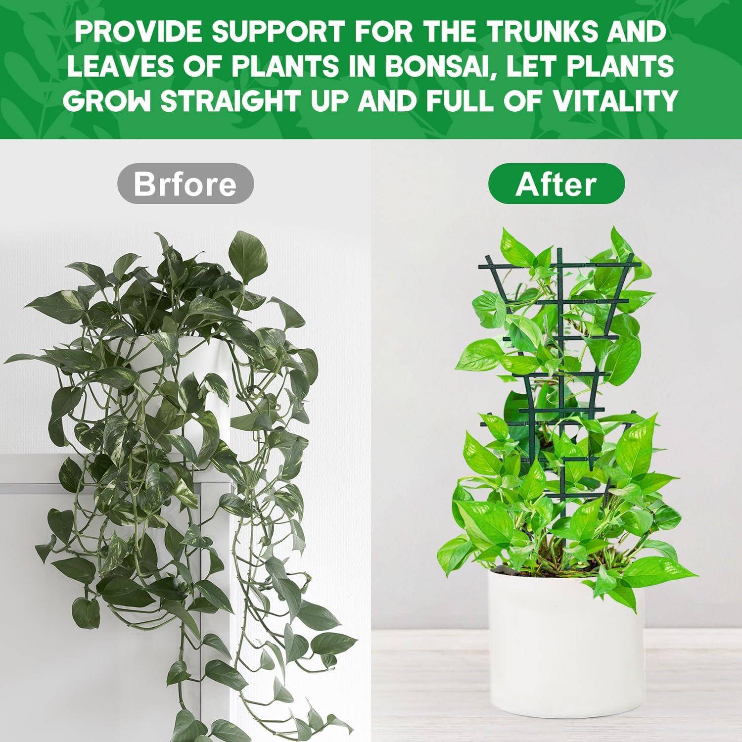 Paquete de 12 enrejados apilables SYWHXY para plantas 25x15cm