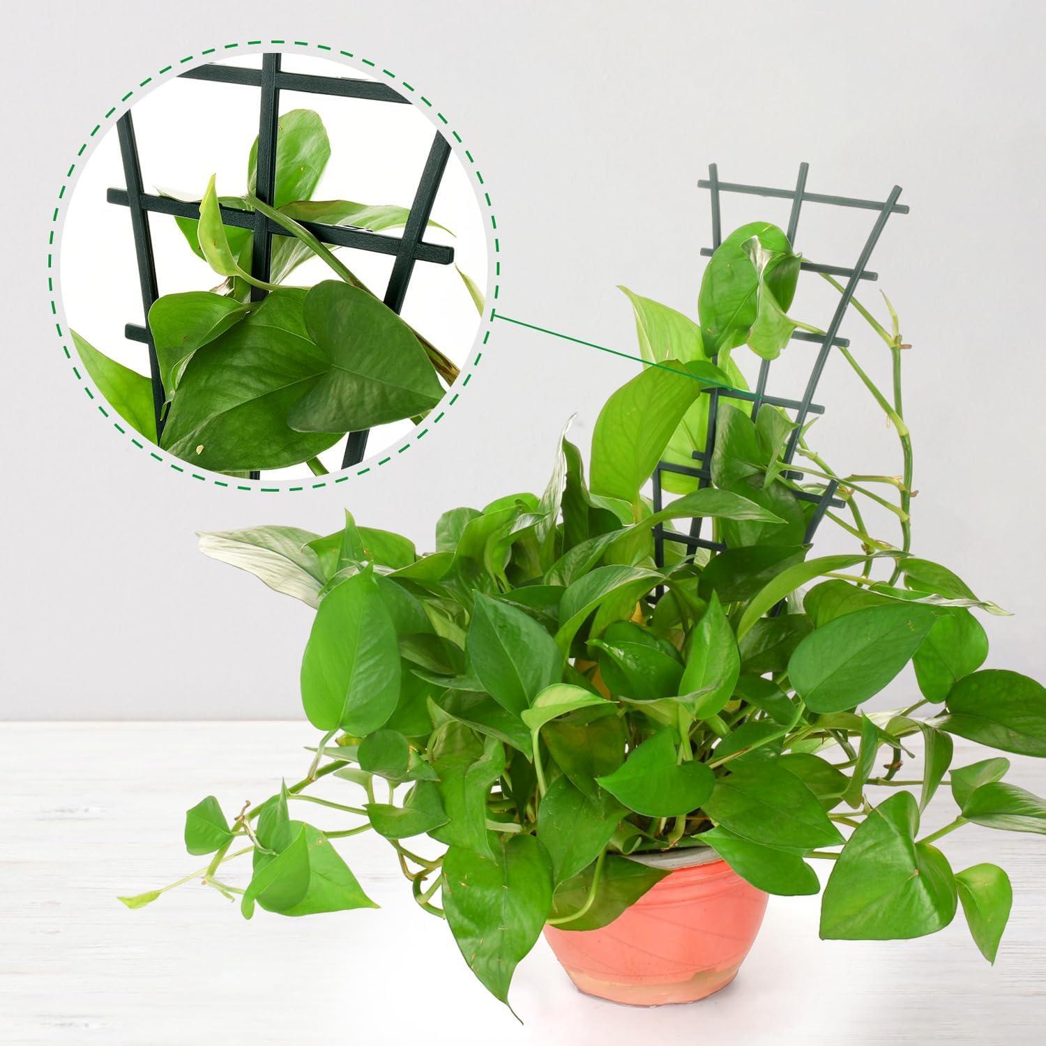 Paquete de 12 enrejados apilables SYWHXY para plantas 25x15cm