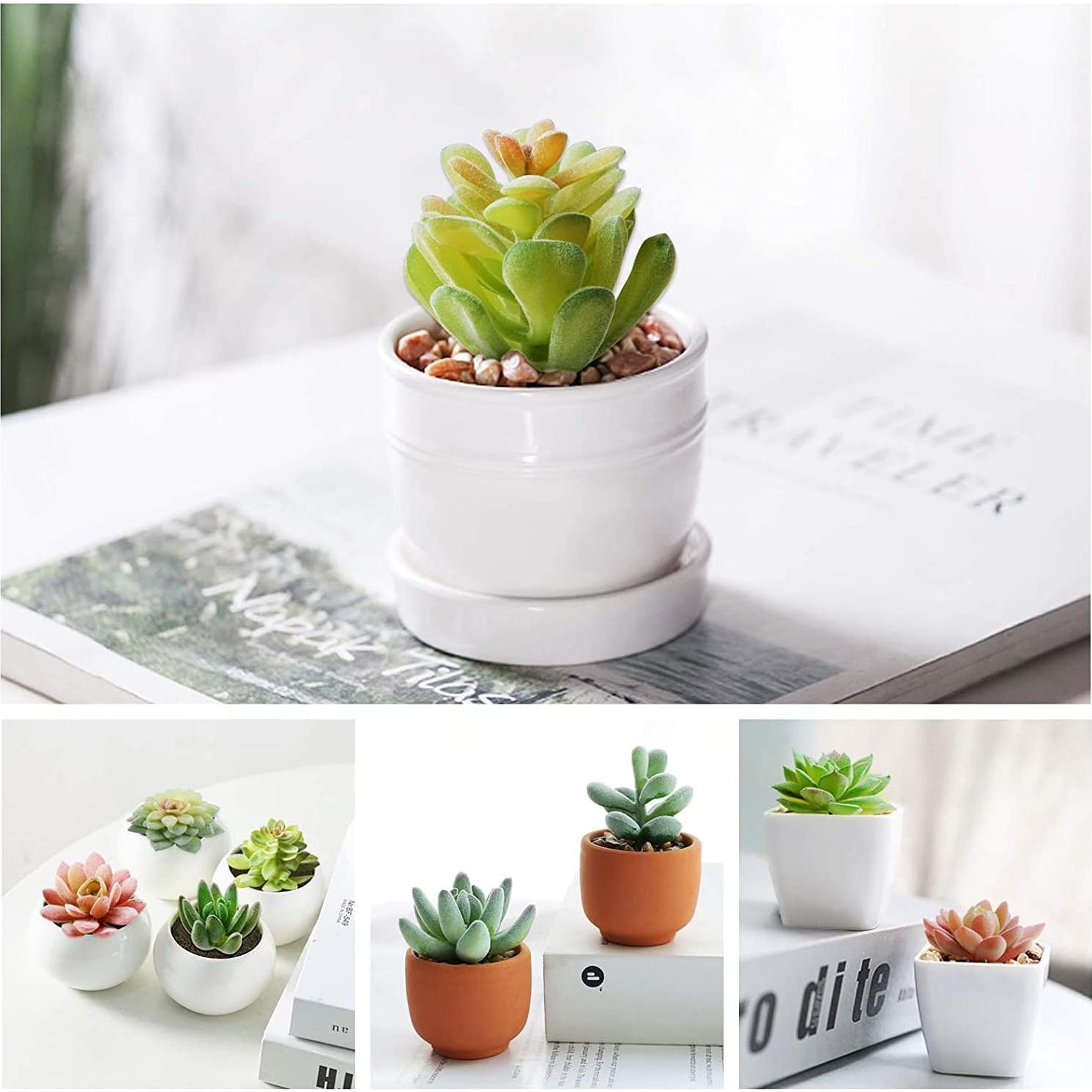 12 Suculentas Artificiales HappyHapi Verde Aterciopelado