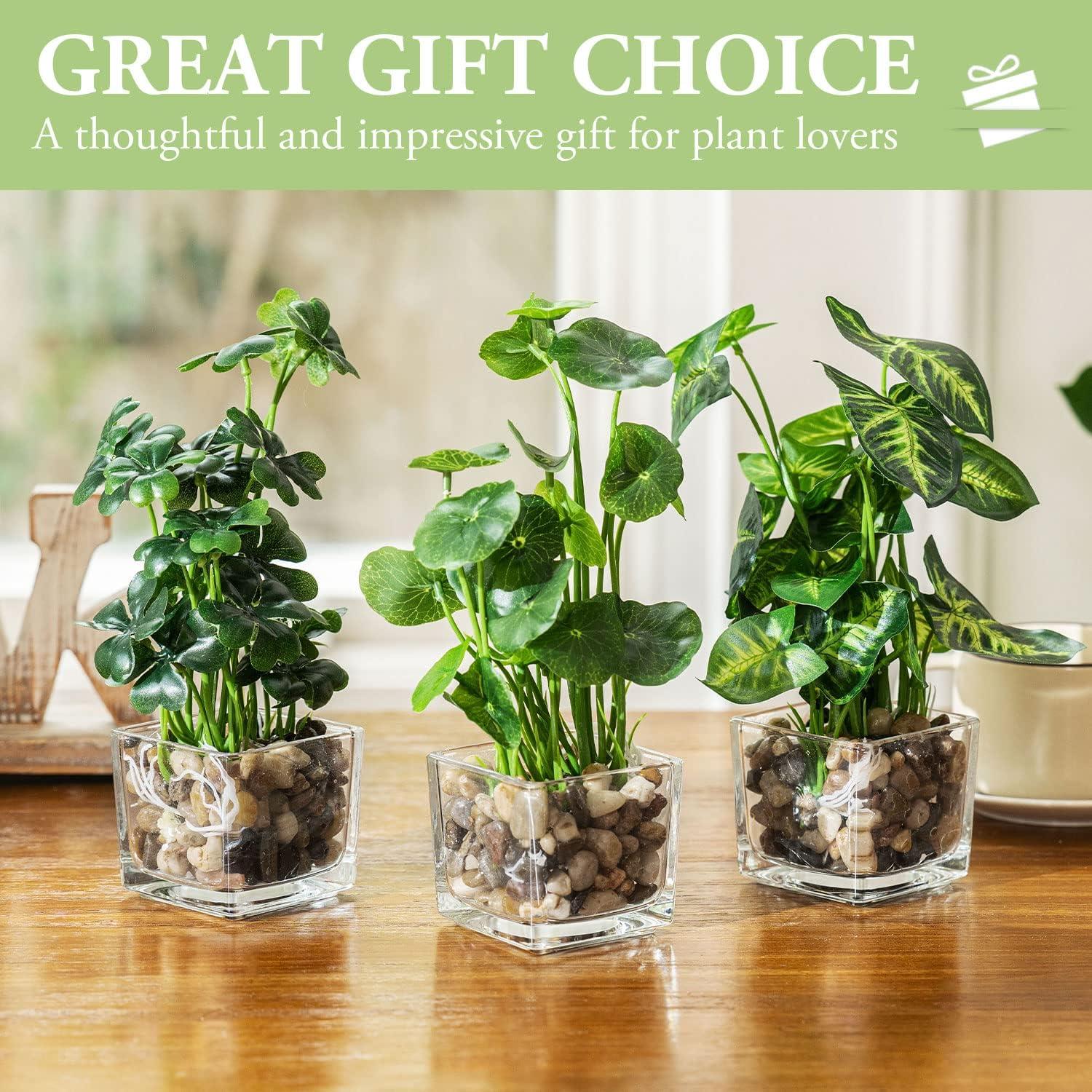 Set de 3 Plantas Falsas MyGift en Macetas de Vidrio 24.1 cm