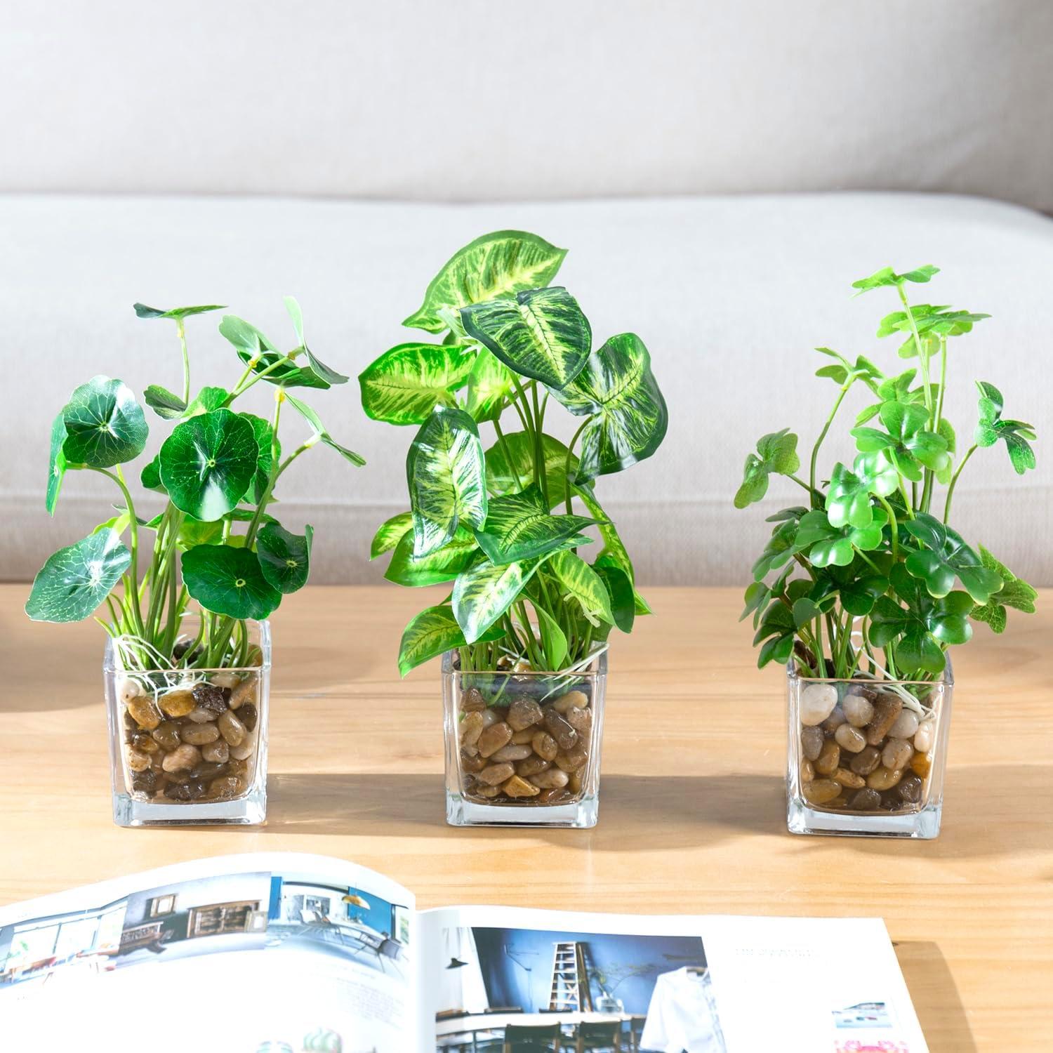 Set de 3 Plantas Falsas MyGift en Macetas de Vidrio 24.1 cm