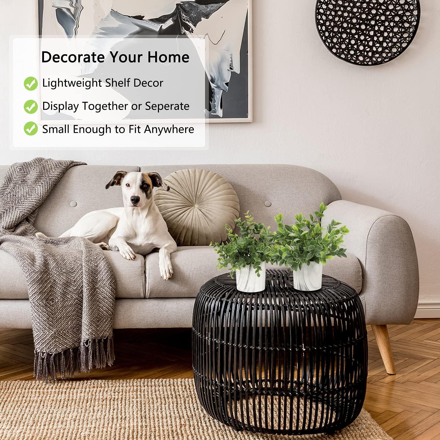 Planta Artificial Eucalipto Hollyone en Maceta de Papel 22.9 cm