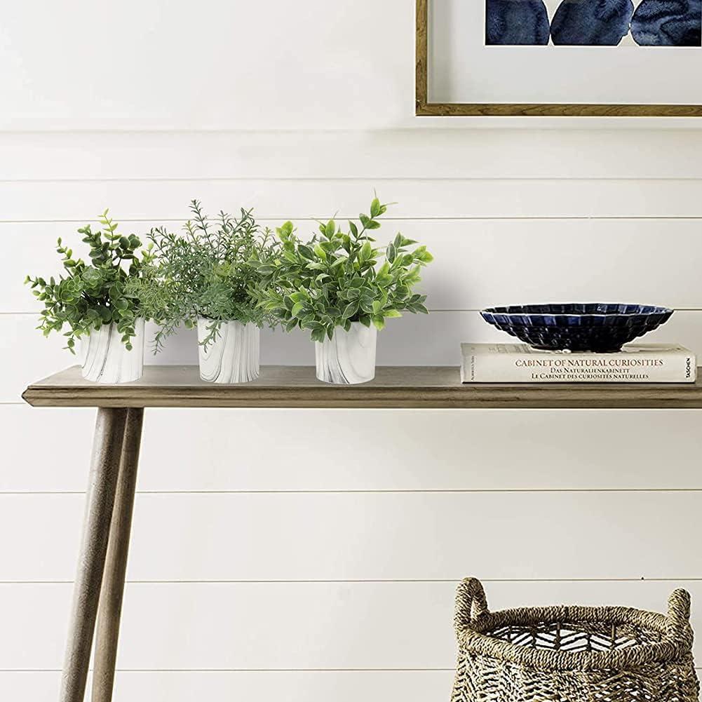 Planta Artificial Eucalipto Hollyone en Maceta de Papel 22.9 cm