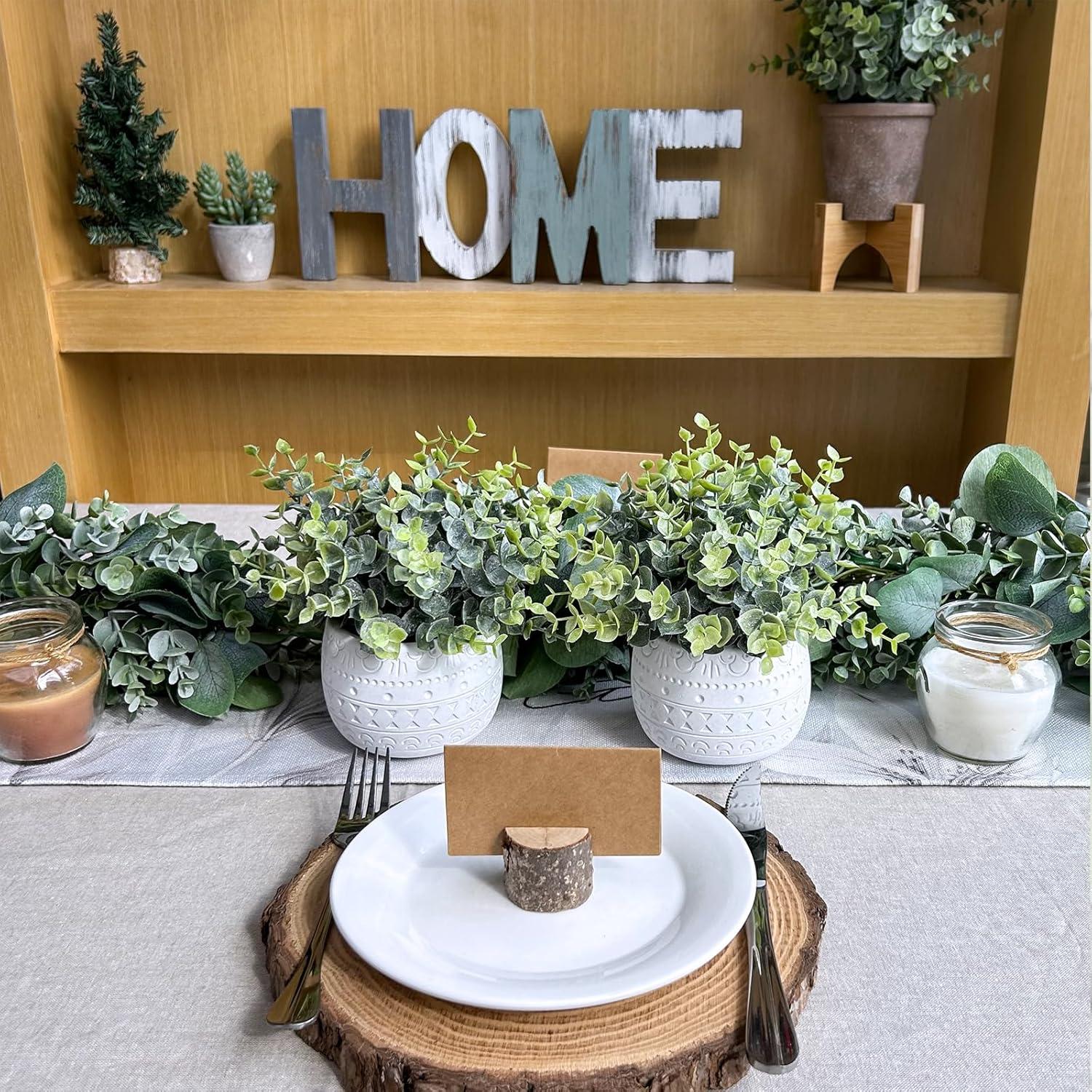 Winlyn Juego de 2 Plantas Artificiales Eucalipto en Macetas Blancas