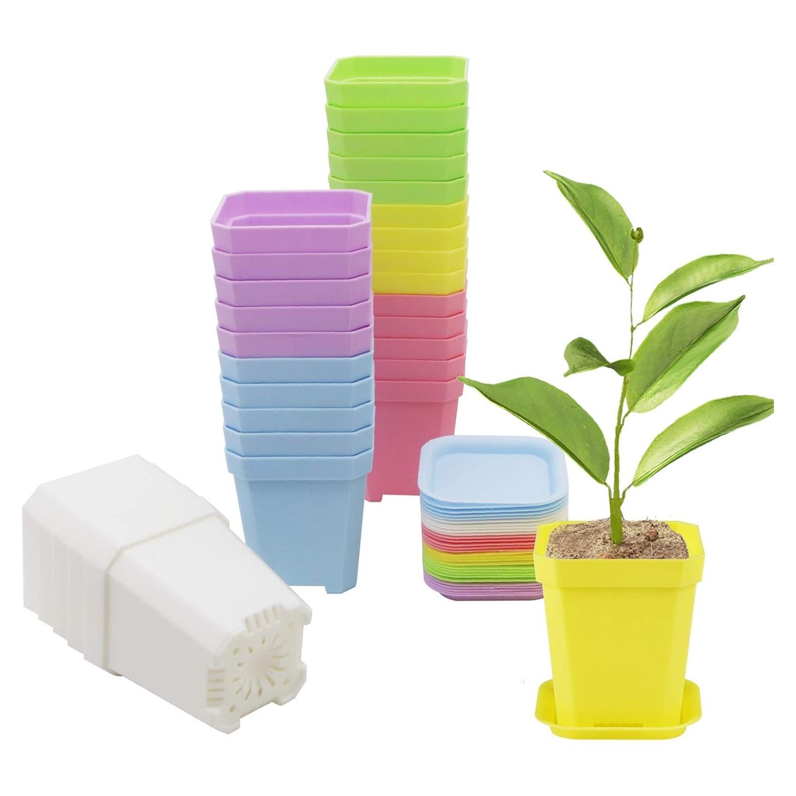 30 Macetas Cuadradas de Vivero Foxany 7.6 cm Coloridas