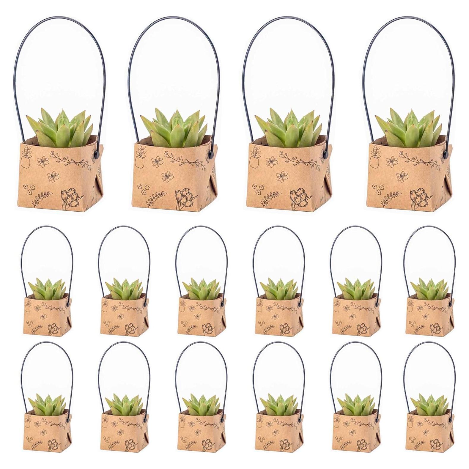 40 Bolsas de Envoltura para Suculentas Fayoula 5.1 cm Kraft