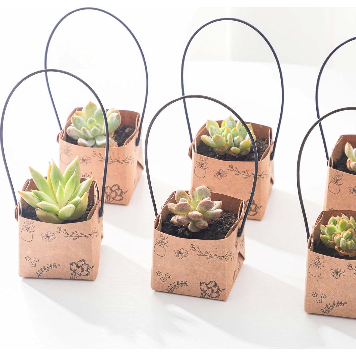 40 Bolsas de Envoltura para Suculentas Fayoula 5.1 cm Kraft