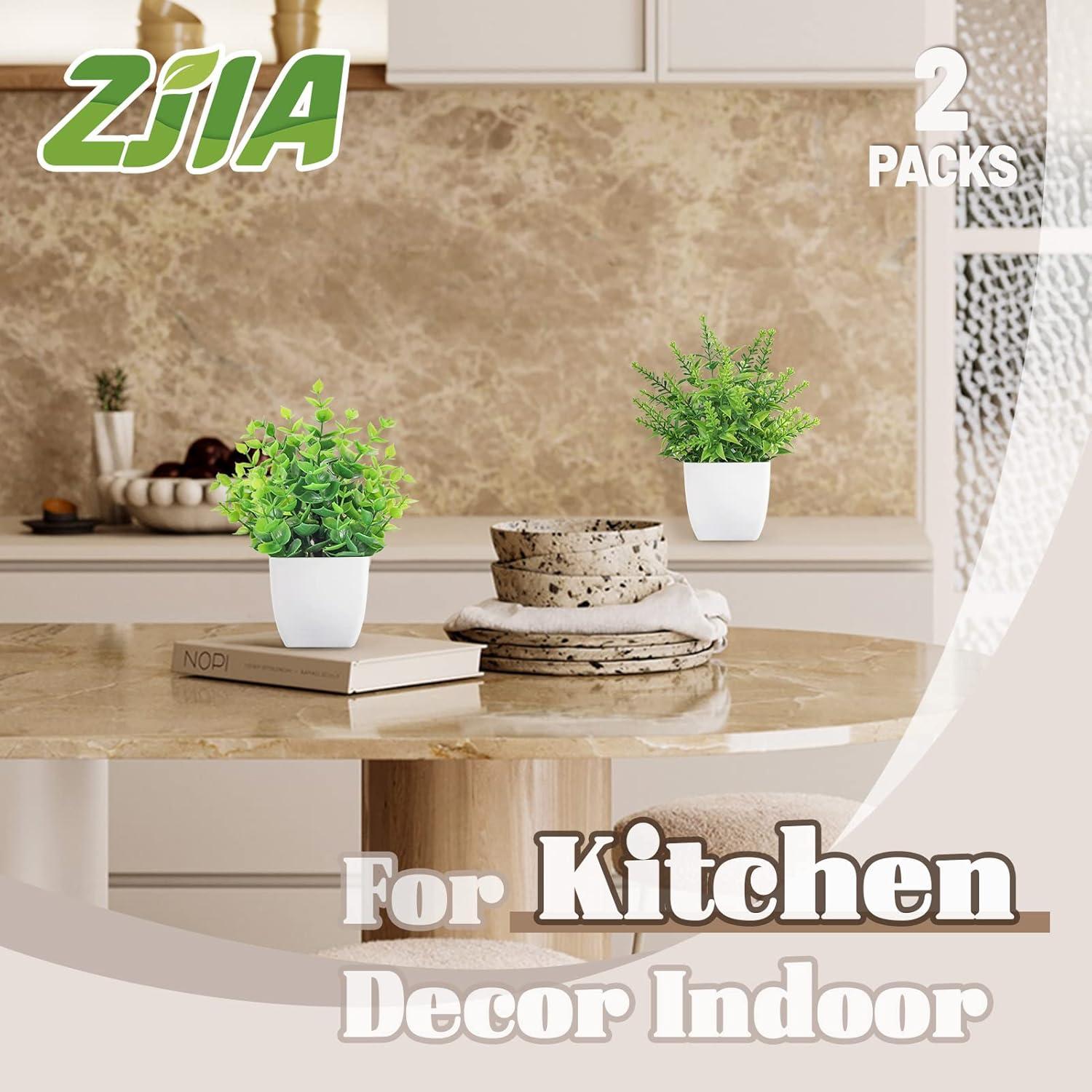 Paquete de 2 Plantas Artificiales ZJIA en Macetas Blancas