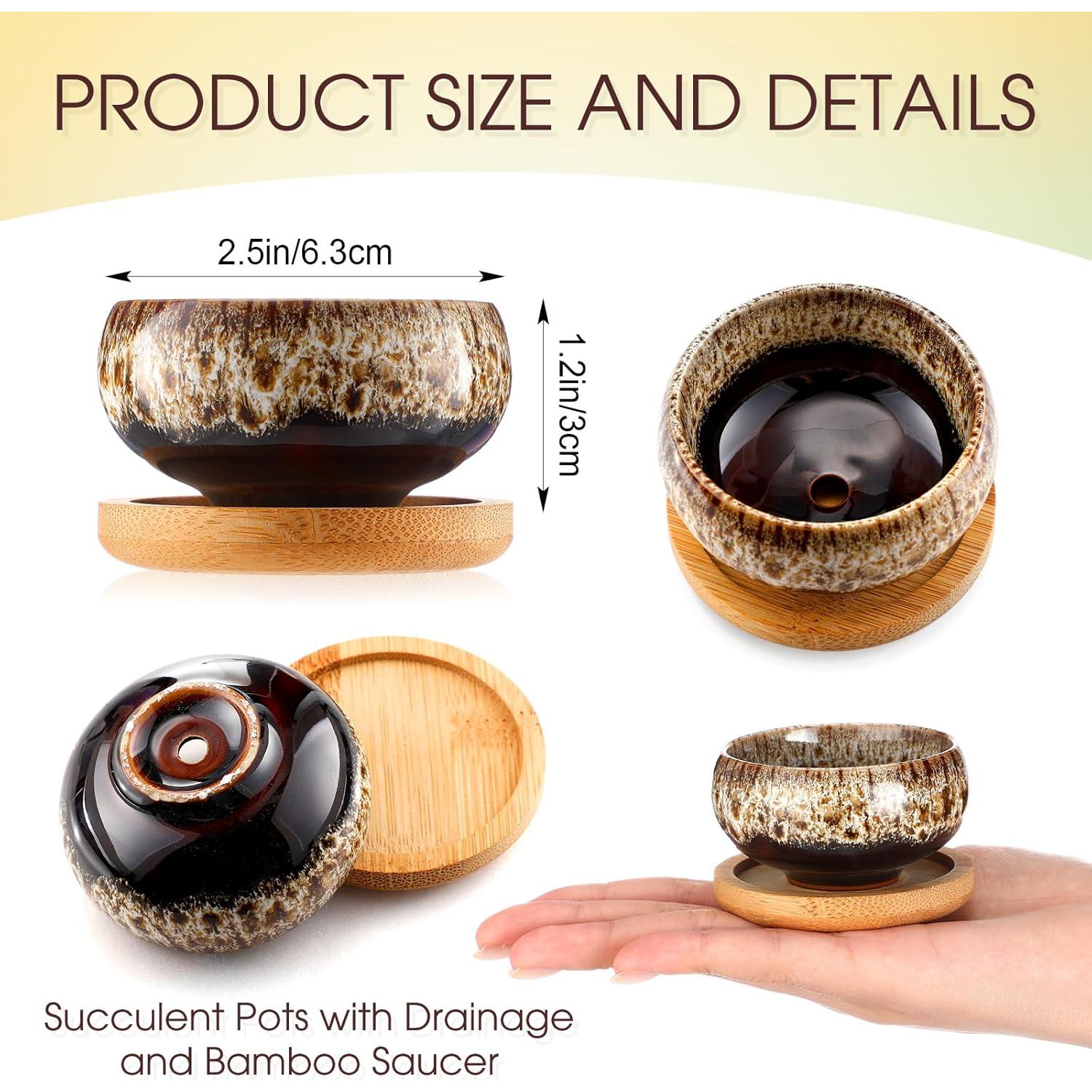 12 Macetas Suculentas Cerámicas RimCereal 6.3 cm con Drenaje