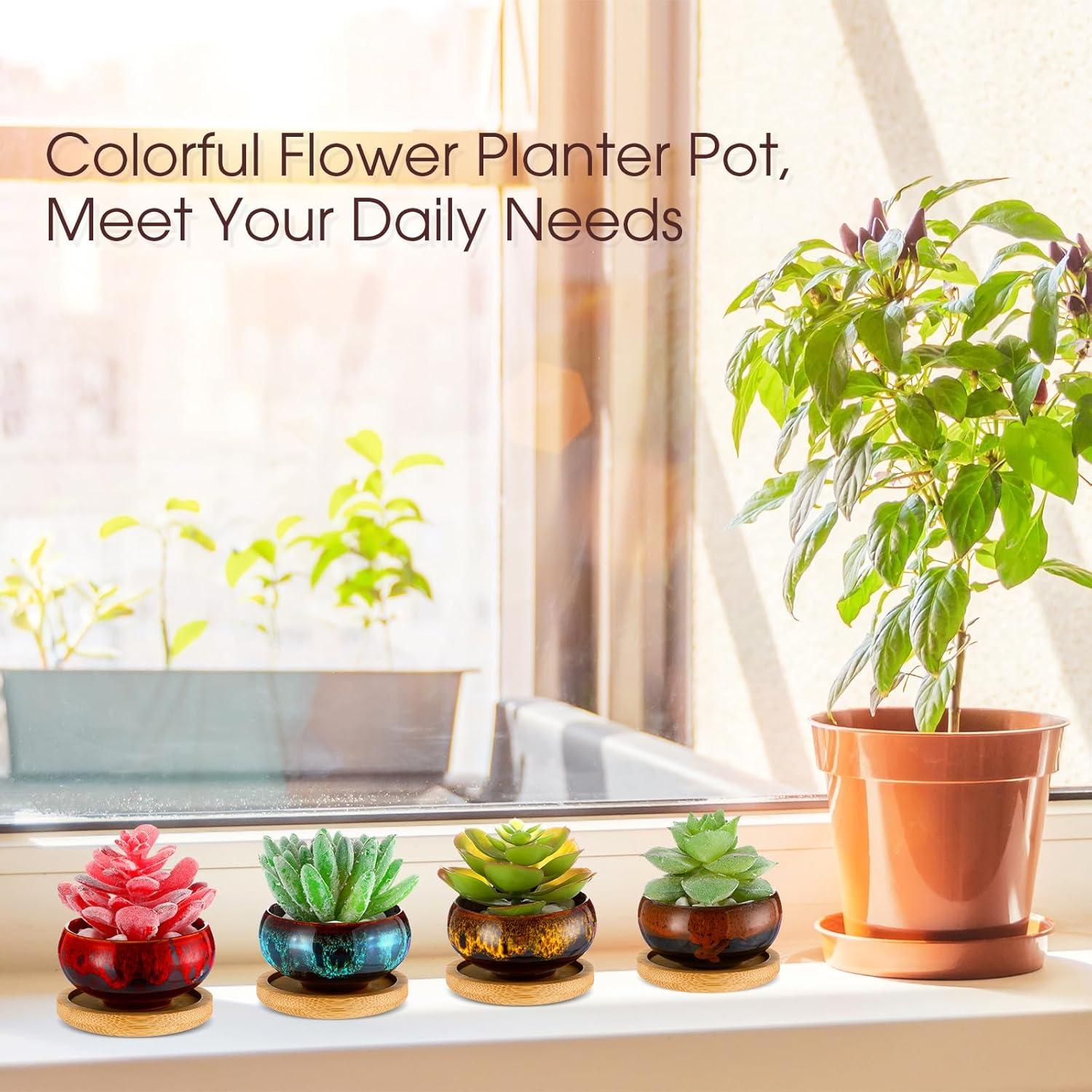 12 Macetas Suculentas Cerámicas RimCereal 6.3 cm con Drenaje