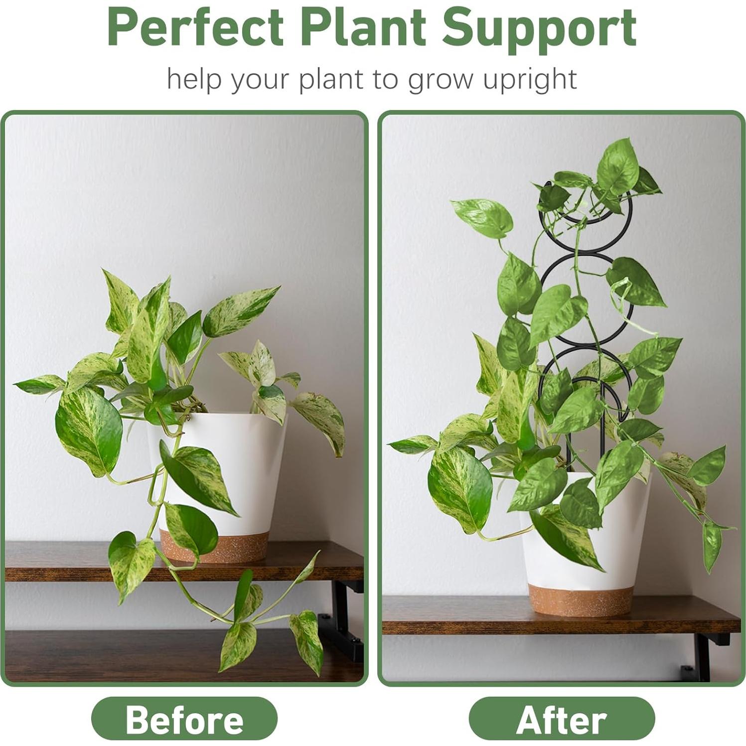 Trellis para Plantas Trepadoras Xeeol, Set de 4, Metal Negro