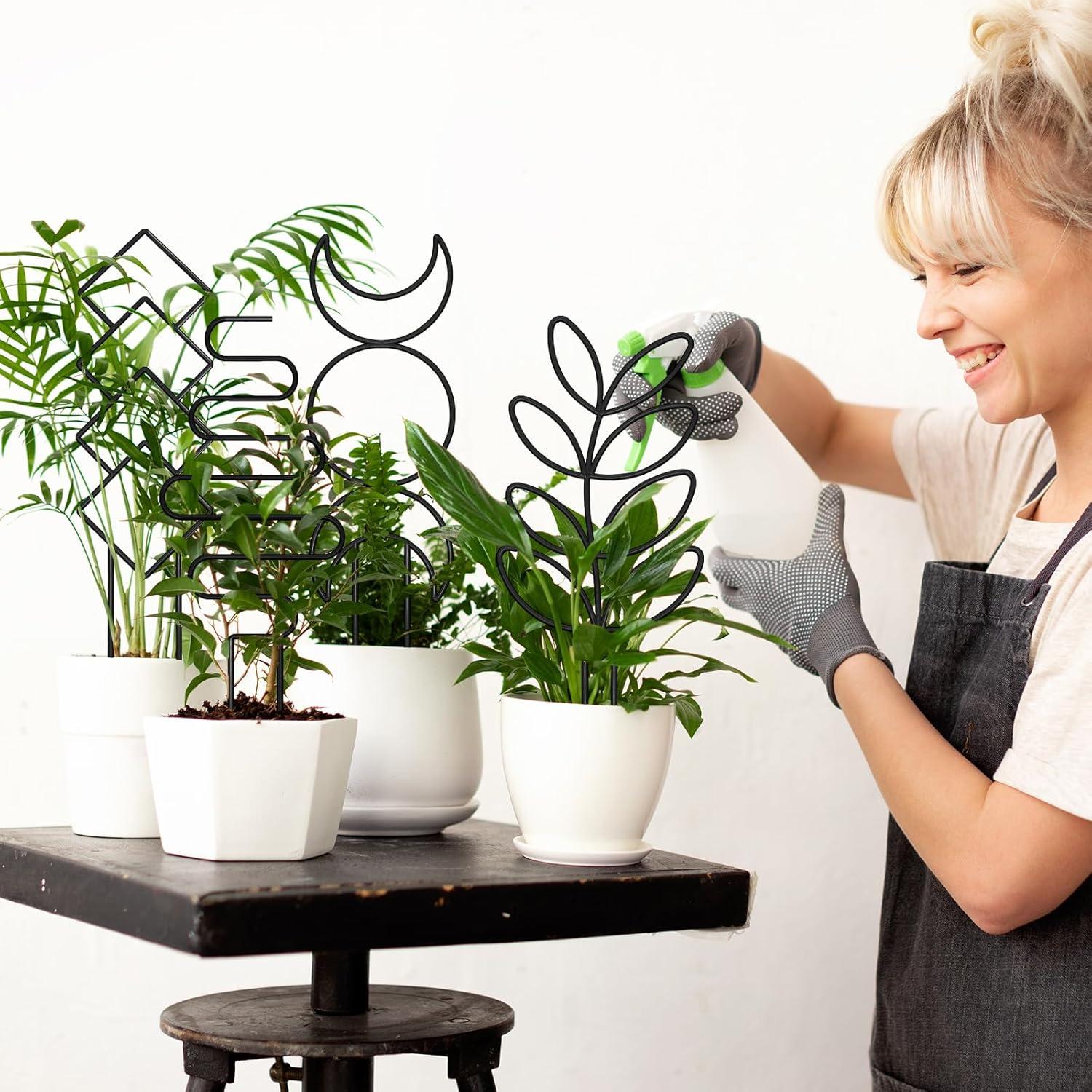 Trellis para Plantas Trepadoras Xeeol, Set de 4, Metal Negro