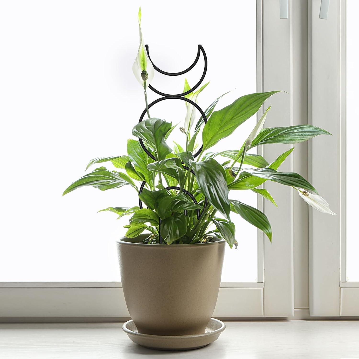 Trellis para Plantas Trepadoras Xeeol, Set de 4, Metal Negro