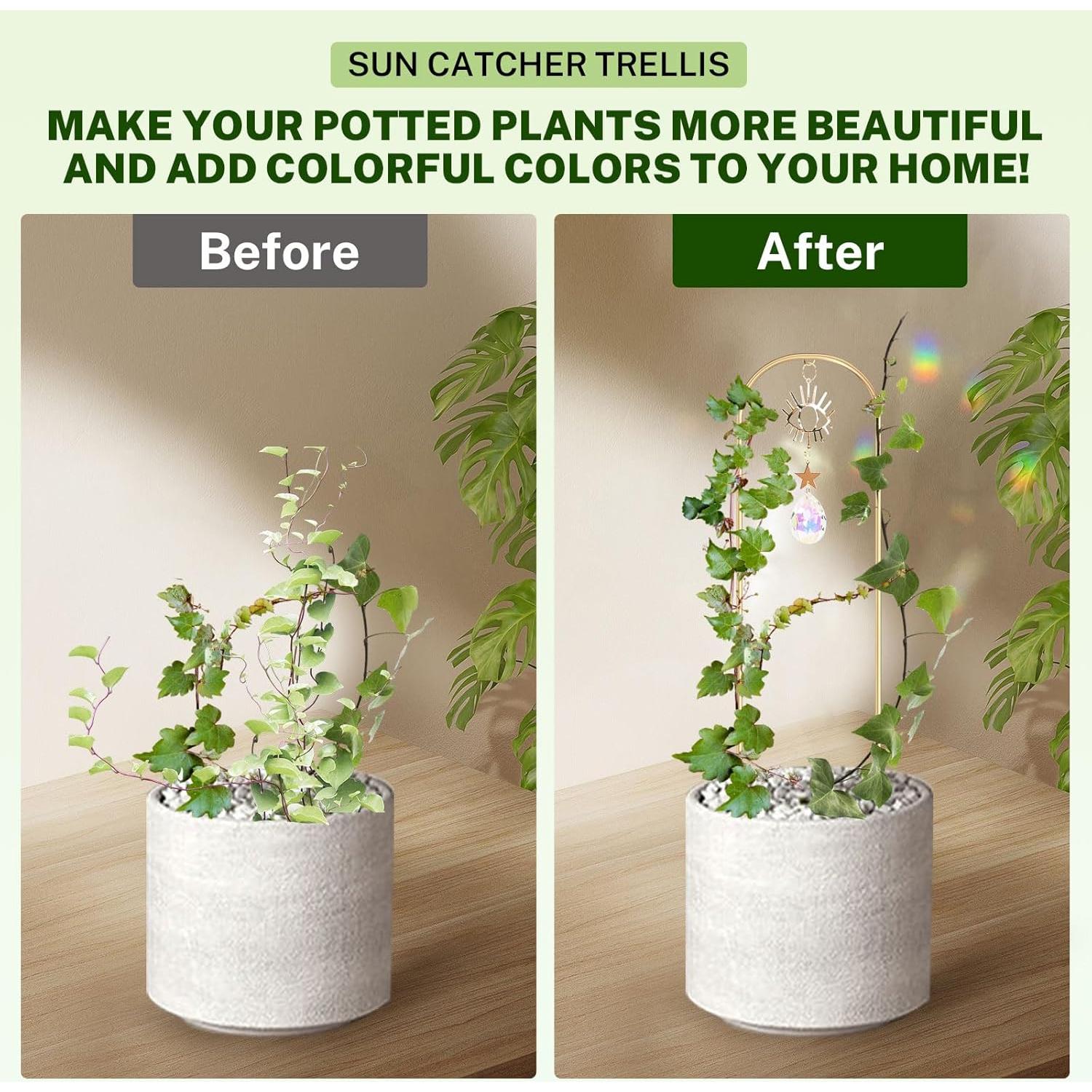 Trellis Pequeño para Plantas WellSign con Atrapa Rayos de Sol 4 Pzas