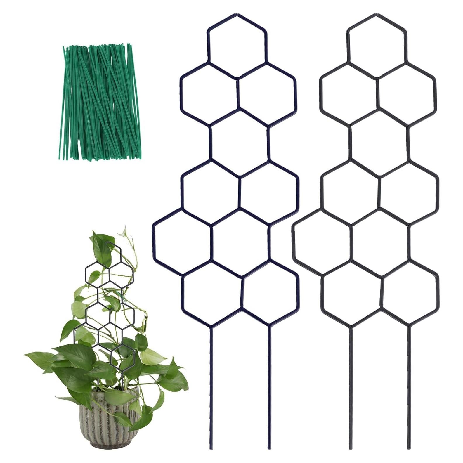 Trellis de Metal para Plantas Trepadoras WellSign 41.5 cm 2 Piezas