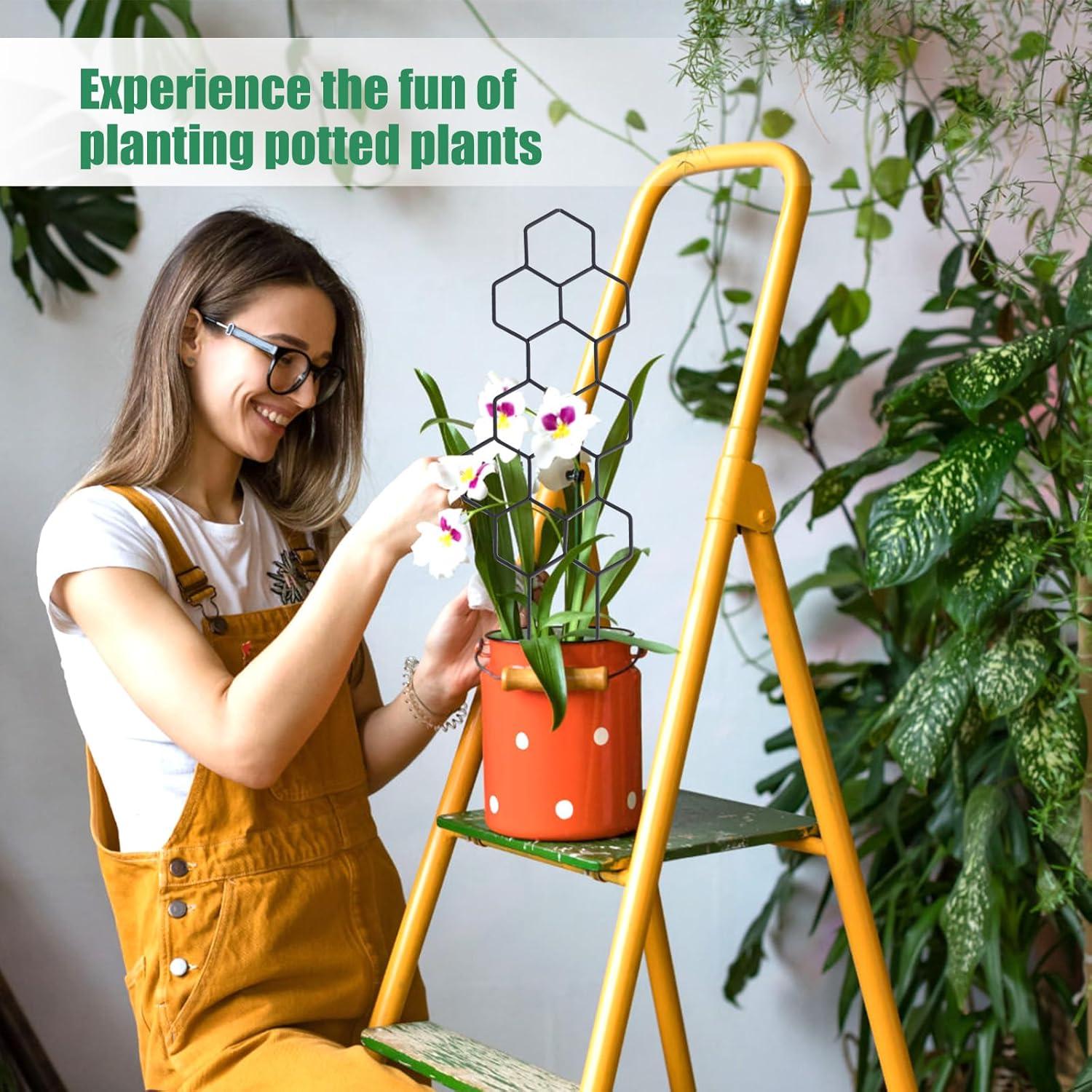 Trellis de Metal para Plantas Trepadoras WellSign 41.5 cm 2 Piezas