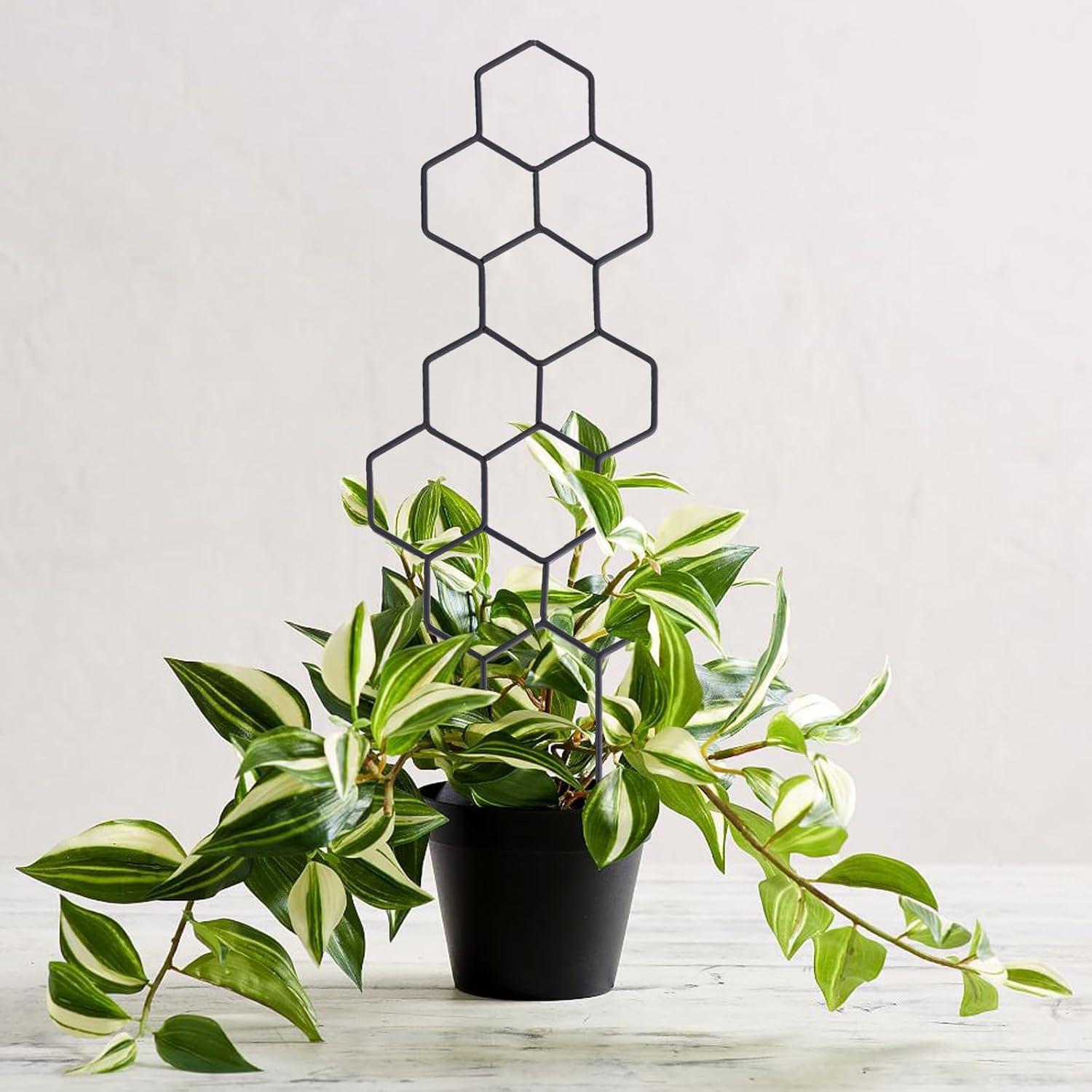 Trellis de Metal para Plantas Trepadoras WellSign 41.5 cm 2 Piezas