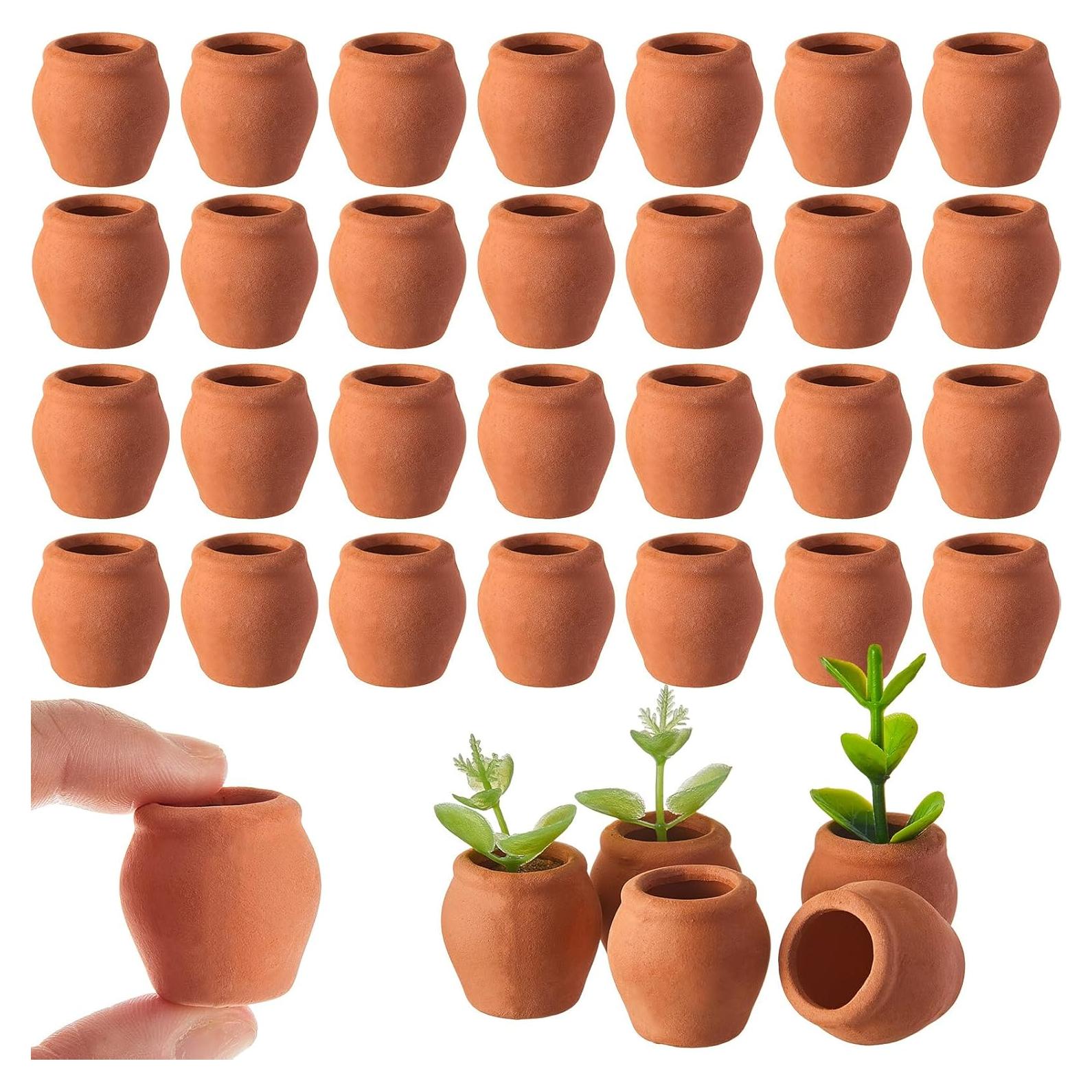 Set de 40 Macetas de Arcilla Terracota RimCereal 2.3x1.9 cm