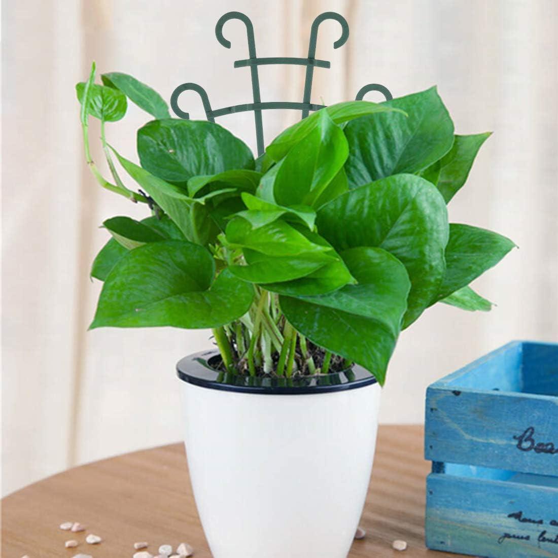 Paquete de 12 enrejados para plantas trepadoras UWIOFF