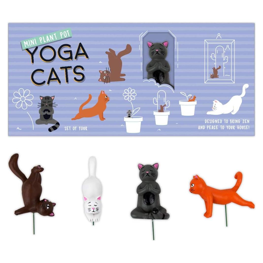 Conjunto de 4 Estacas de Gato de Yoga Mini Gift Republic