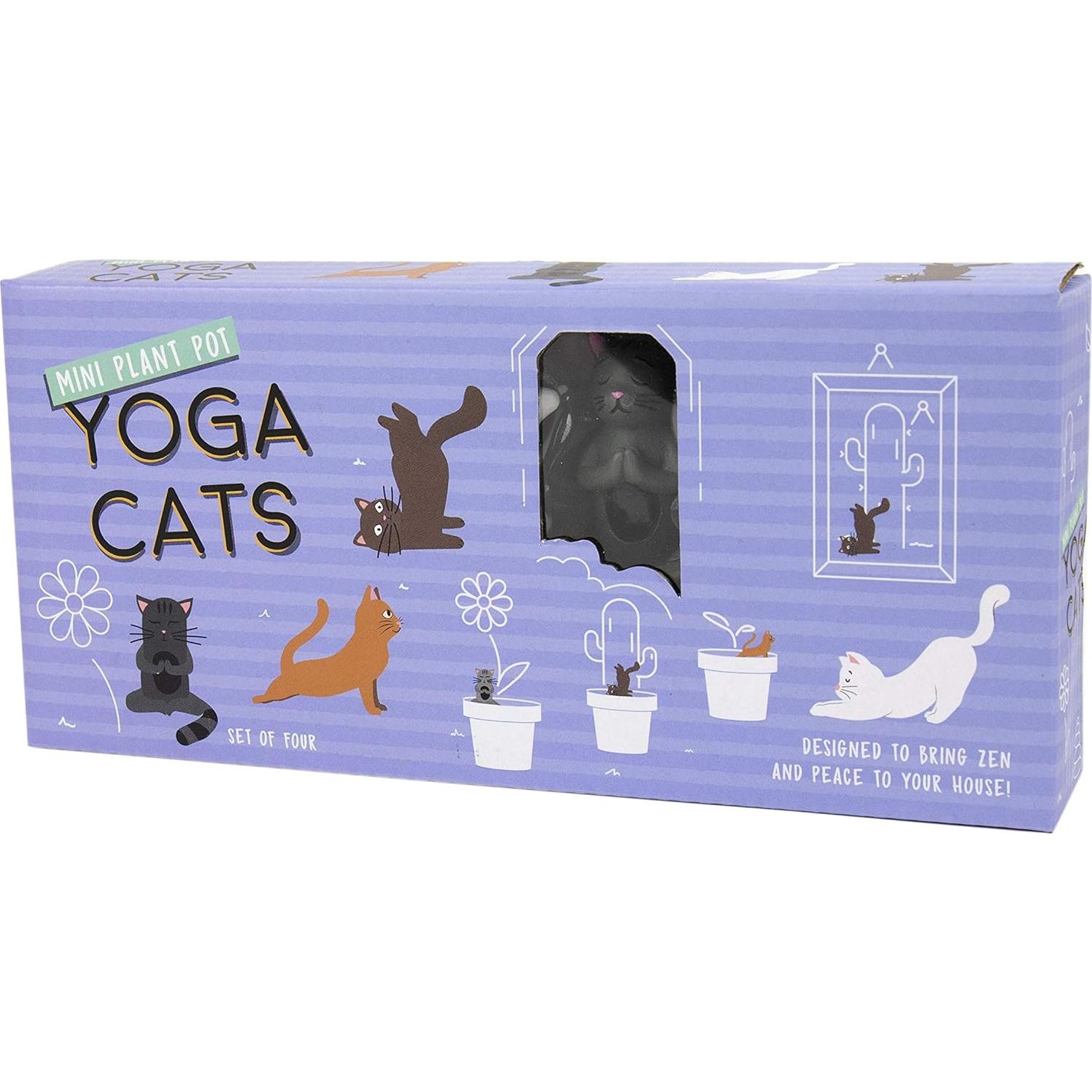 Conjunto de 4 Estacas de Gato de Yoga Mini Gift Republic