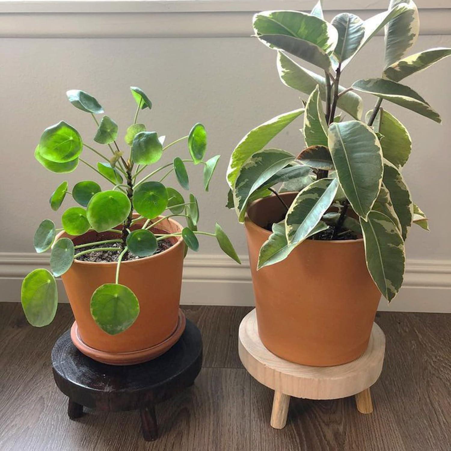 Juego de 2 Taburetes de Madera TOPZEA para Plantas 12-17 cm