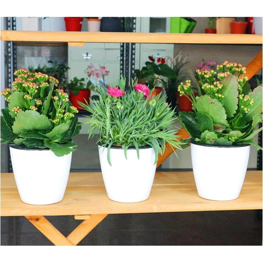 Maceta Autorriego OYSIR Blanca 3.5" para Plantas - 3 Piezas