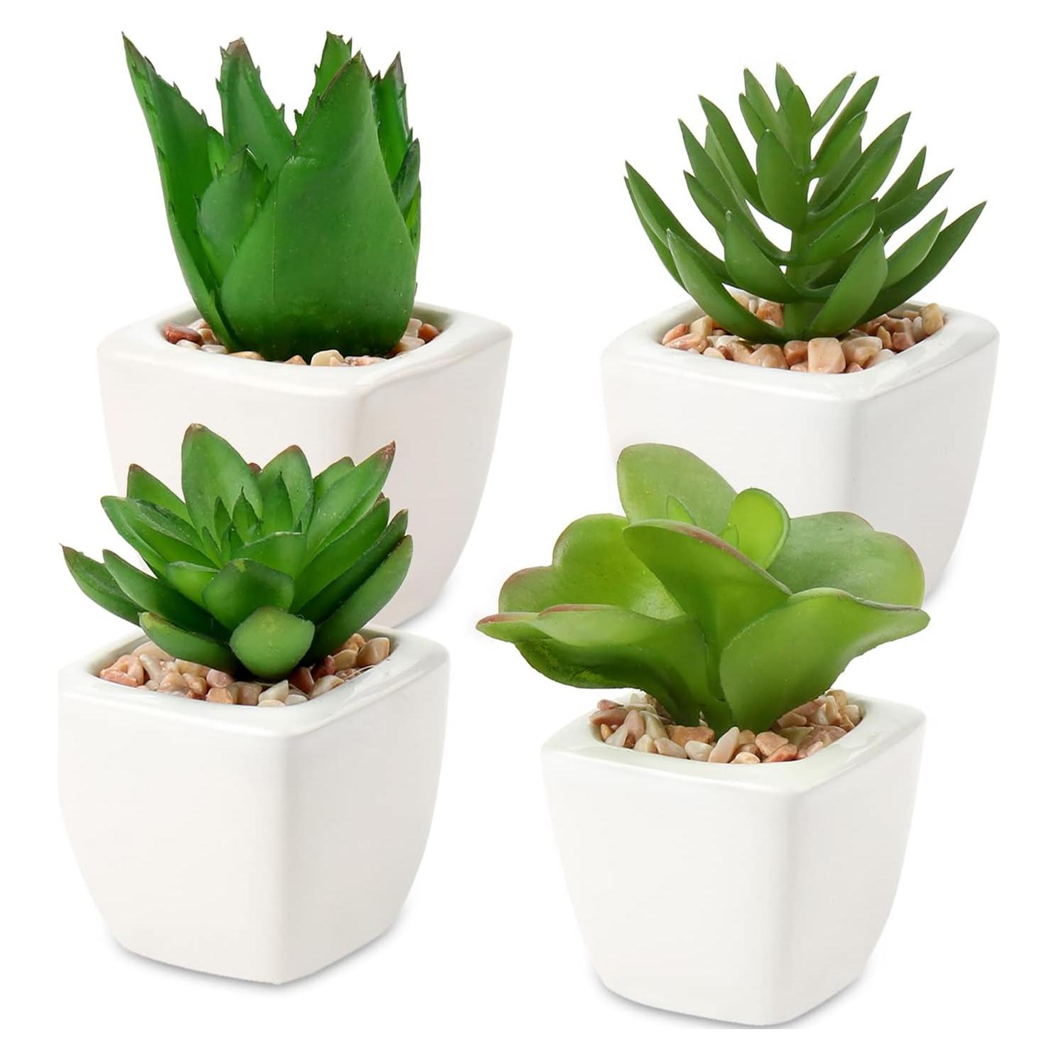 Plantas Suculentas Artificiales Hollyone 4Pcs en Macetas Cerámicas
