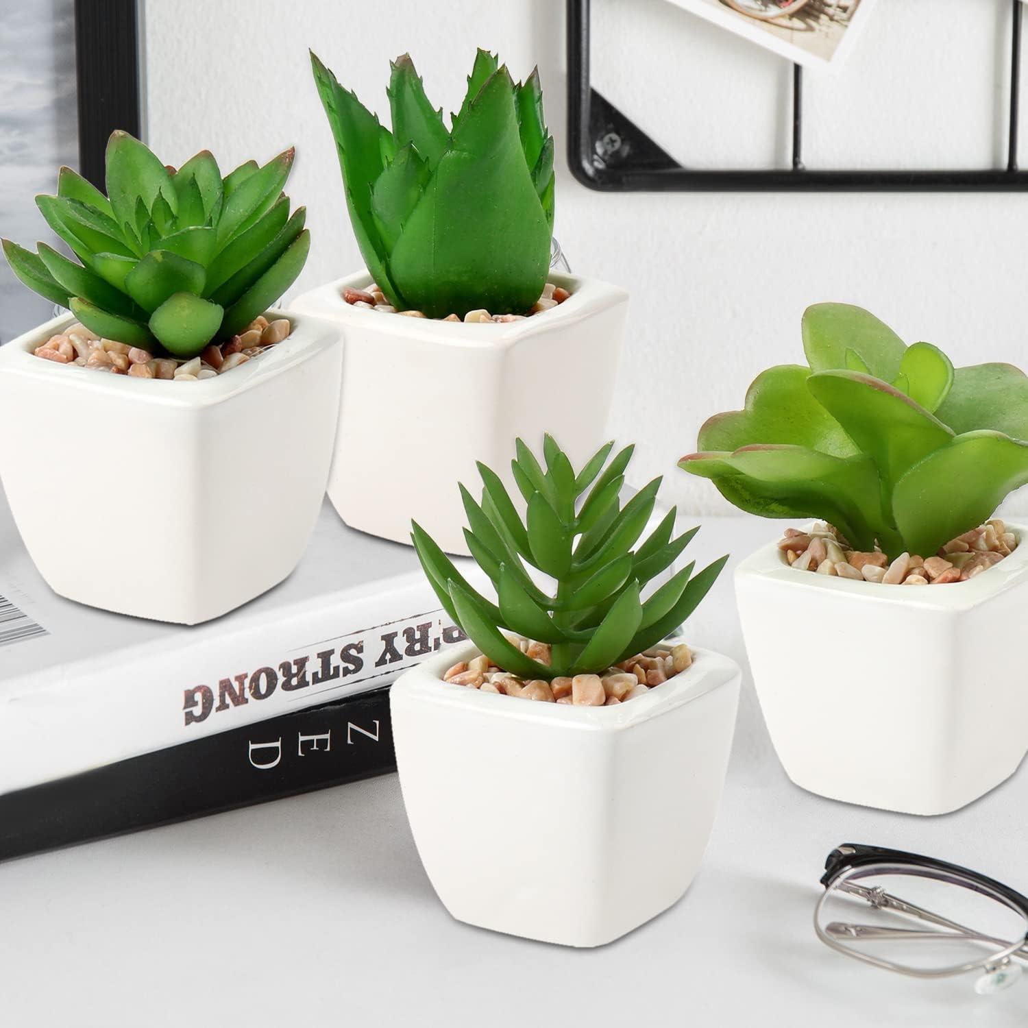 Plantas Suculentas Artificiales Hollyone 4Pcs en Macetas Cerámicas
