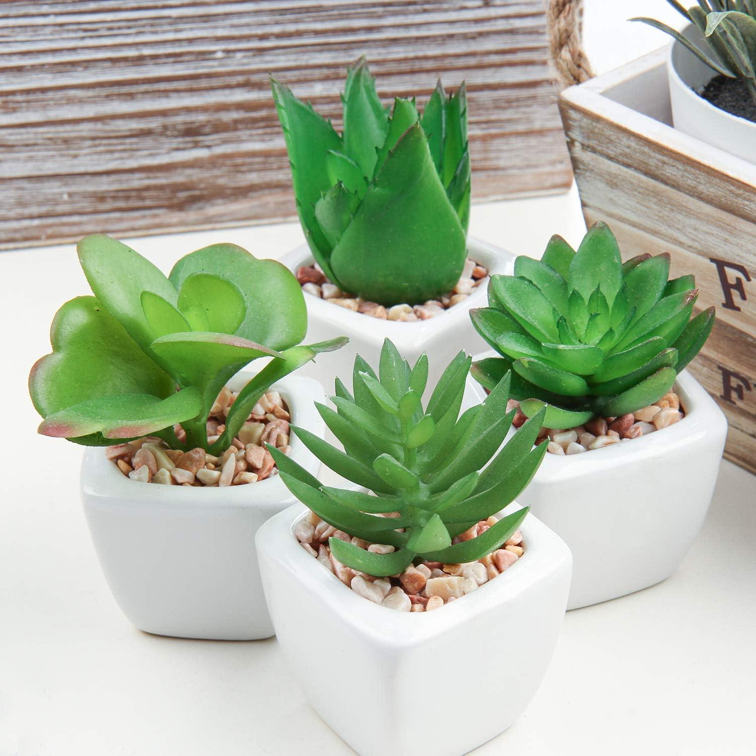 Plantas Suculentas Artificiales Hollyone 4Pcs en Macetas Cerámicas