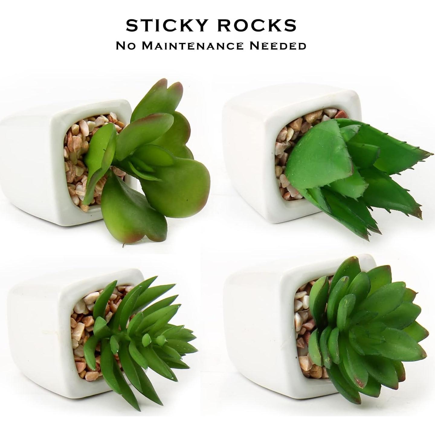 Plantas Suculentas Artificiales Hollyone 4Pcs en Macetas Cerámicas