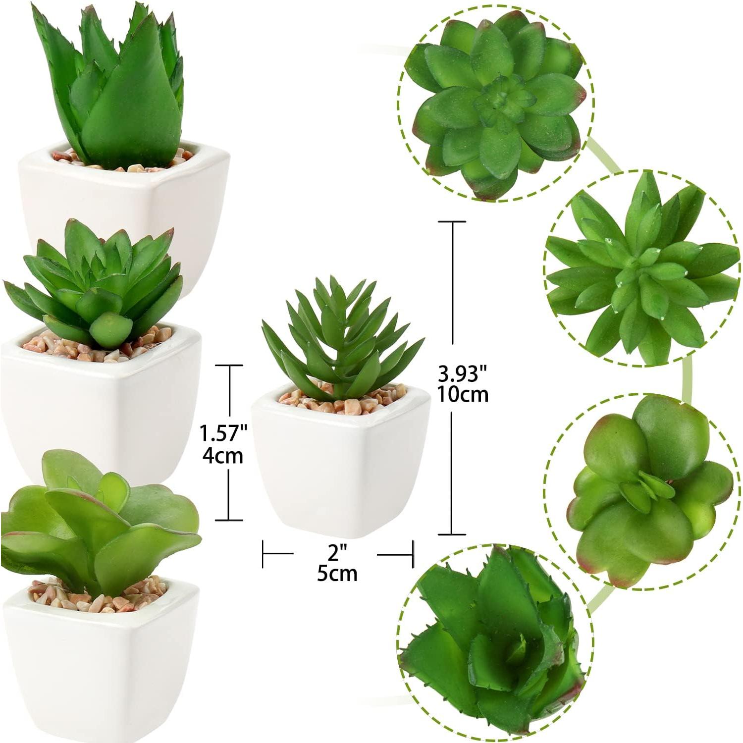 Plantas Suculentas Artificiales Hollyone 4Pcs en Macetas Cerámicas