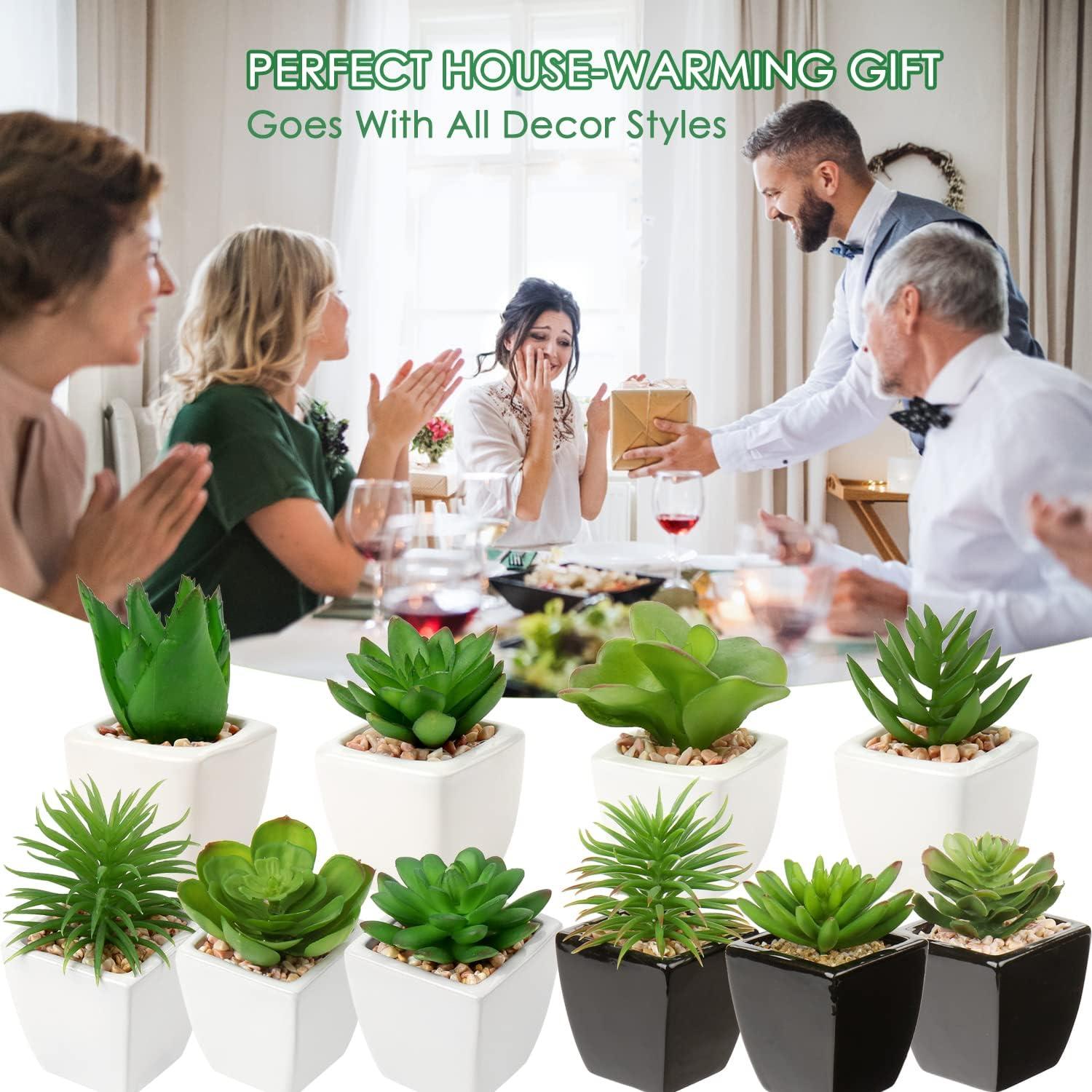 Plantas Suculentas Artificiales Hollyone 4Pcs en Macetas Cerámicas