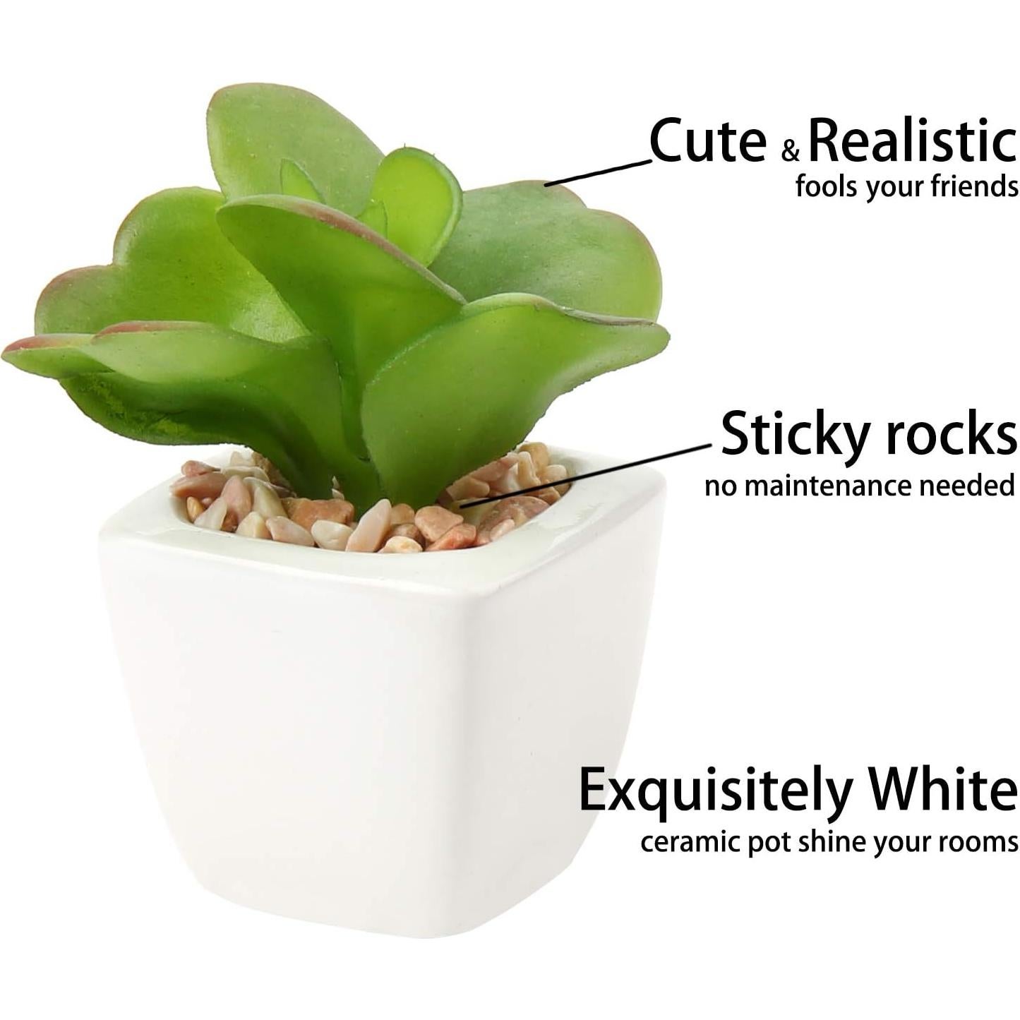 Plantas Suculentas Artificiales Hollyone 4Pcs en Macetas Cerámicas