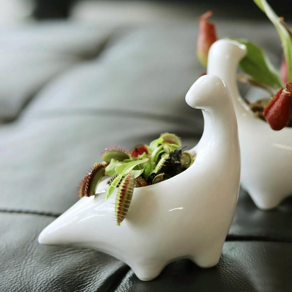 Maceta Cerámica Dinosaurio GeLive para Suculentas 12.95 cm