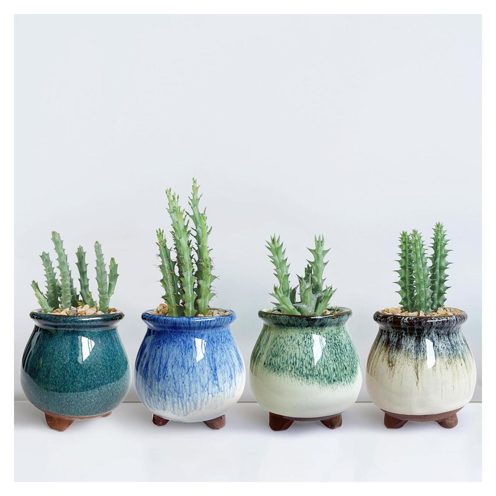 Set de 4 macetas de cerámica Casktcom 7.62 cm con drenaje