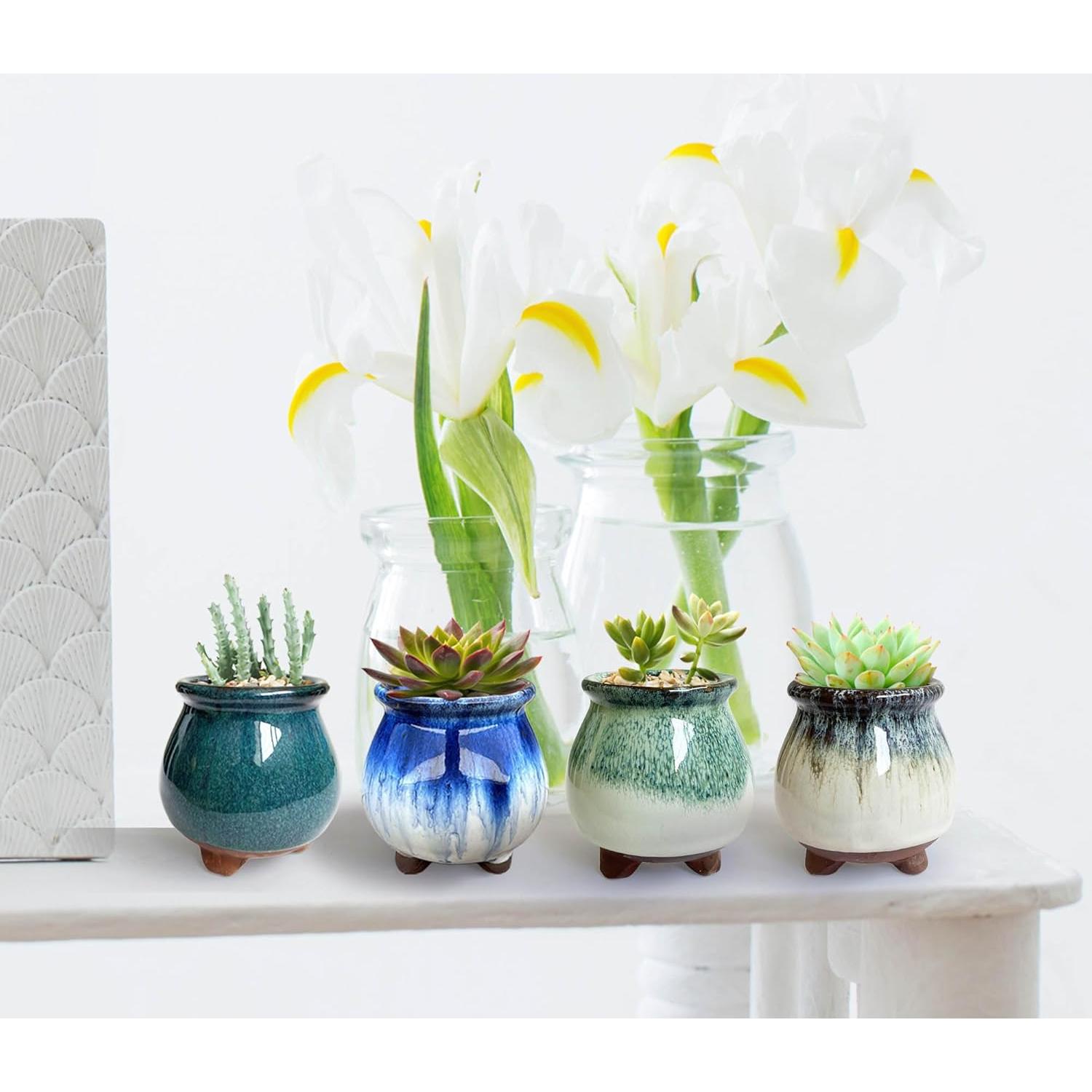 Set de 4 macetas de cerámica Casktcom 7.62 cm con drenaje