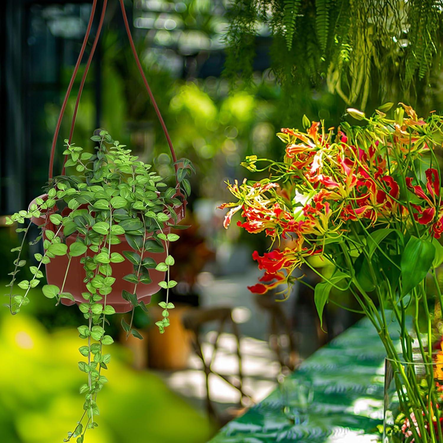 10 Macetas Colgantes Mipcase de Plástico 25x10cm Rojo Oscuro