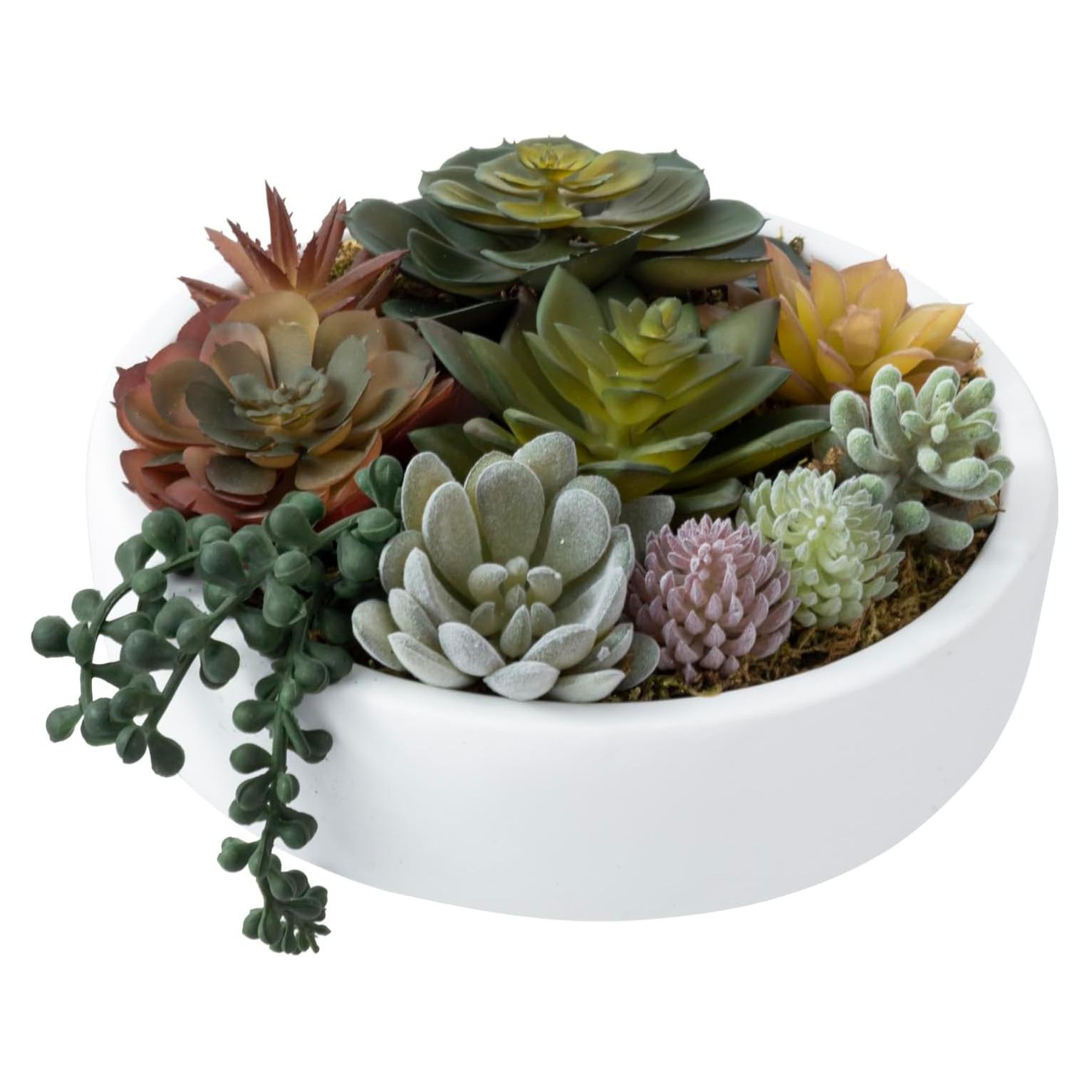 Arreglo Suculentas Artificiales MyGift en Tazón Concreto 20.6 cm