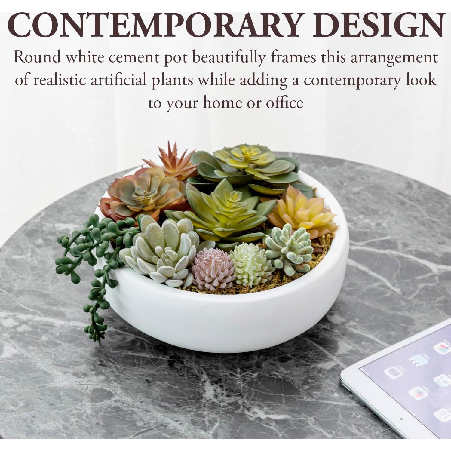 Arreglo Suculentas Artificiales MyGift en Tazón Concreto 20.6 cm