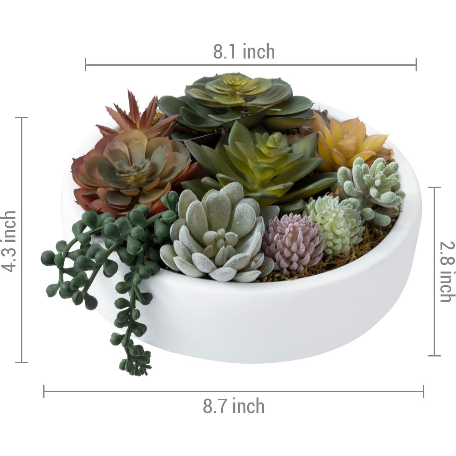 Arreglo Suculentas Artificiales MyGift en Tazón Concreto 20.6 cm