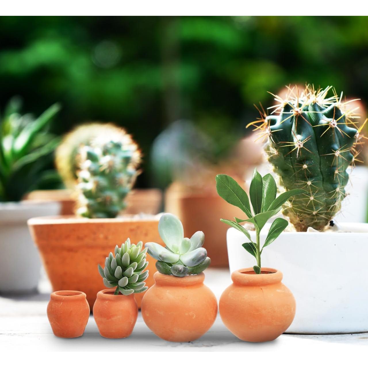 Macetas Miniatura de Terracota BESPORTBLE 4Pcs 3.2x2.2cm