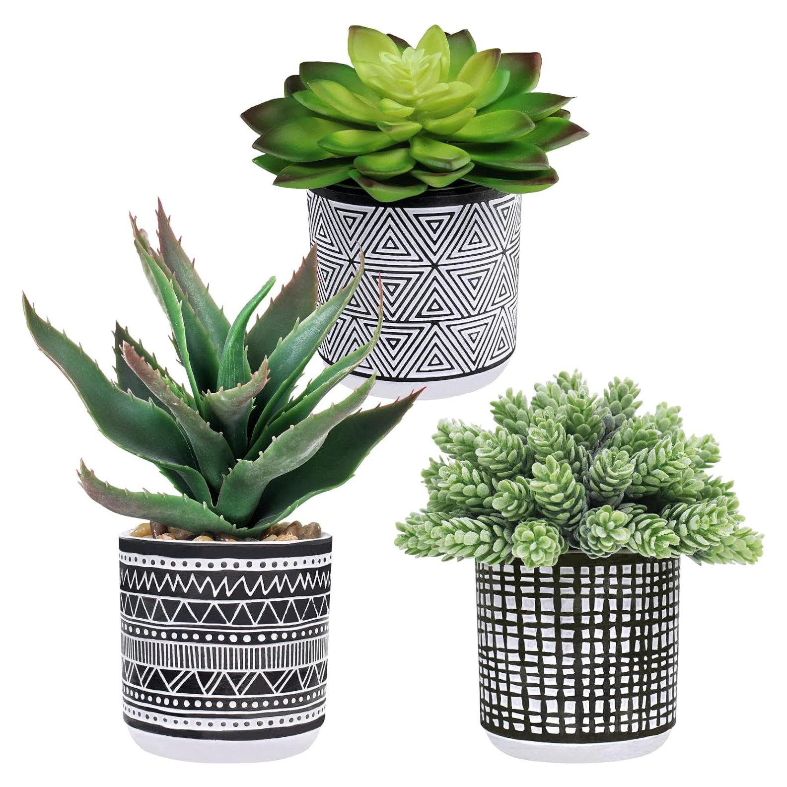 Conjunto de 3 Suculentas Artificiales Winlyn en Macetas de Concreto