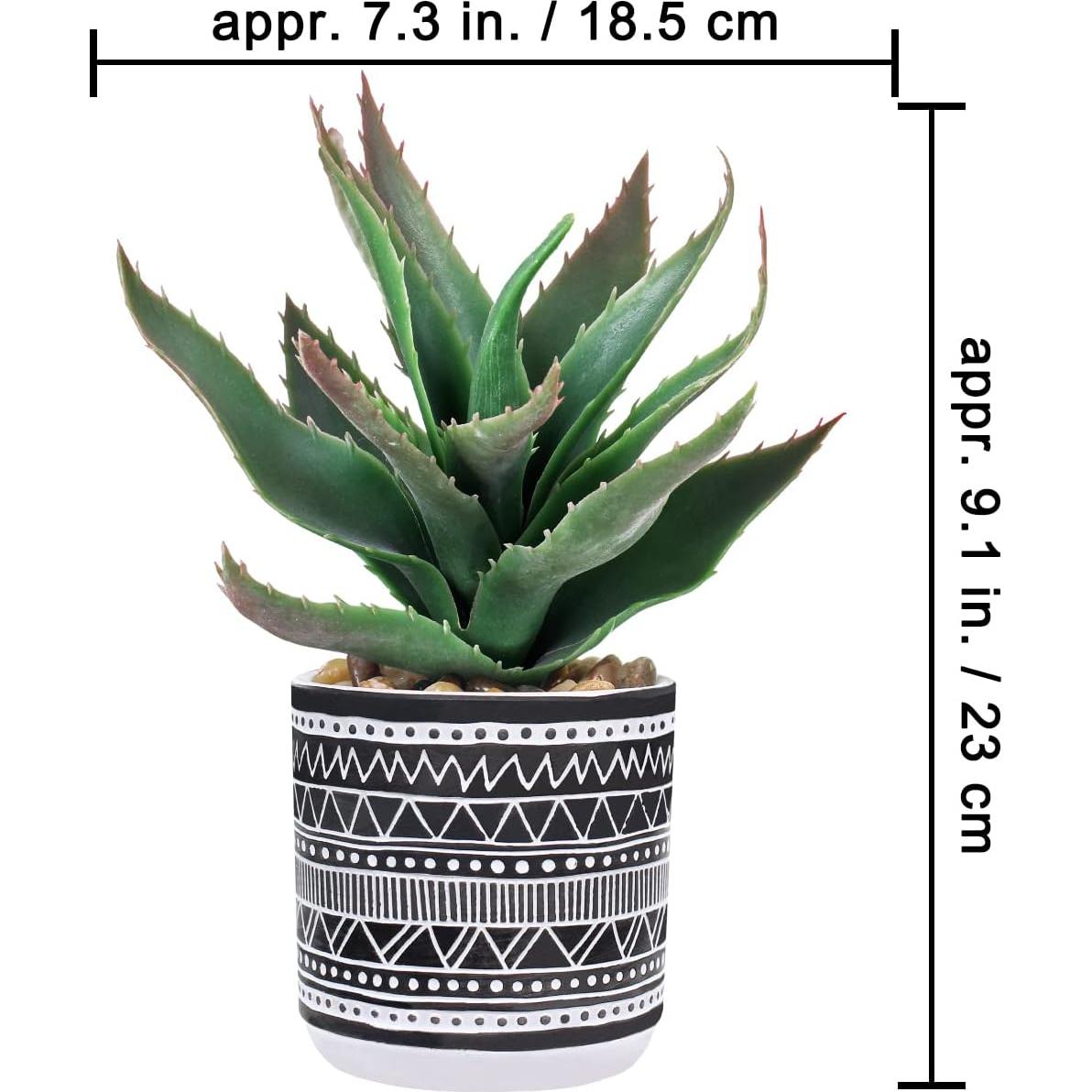 Conjunto de 3 Suculentas Artificiales Winlyn en Macetas de Concreto