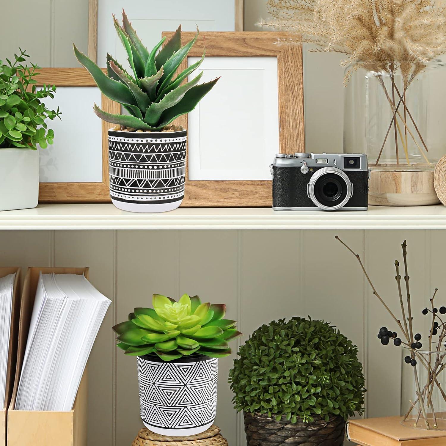 Conjunto de 3 Suculentas Artificiales Winlyn en Macetas de Concreto