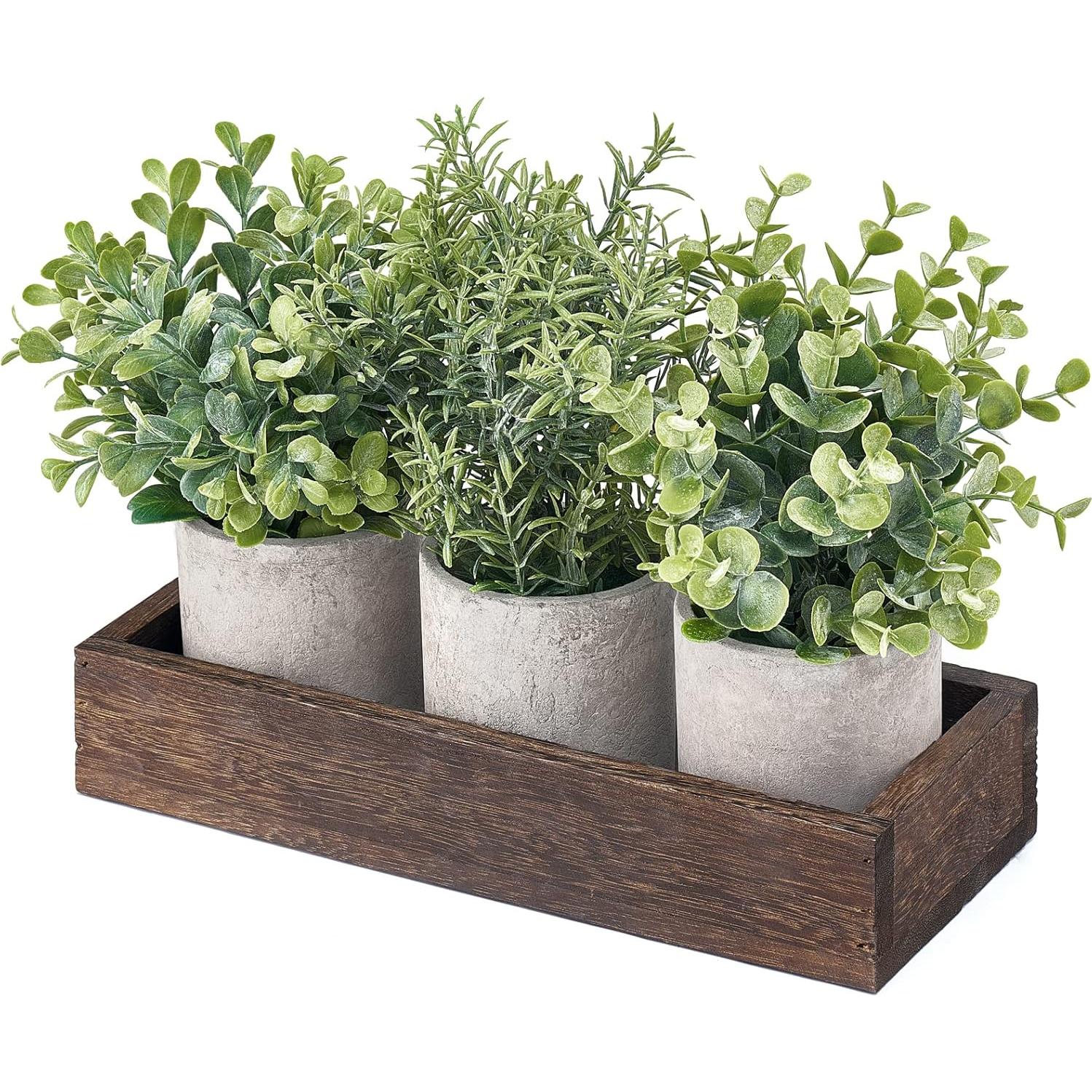 Conjunto de Plantas Artificiales Eucalipto Dahey 3 Pzas