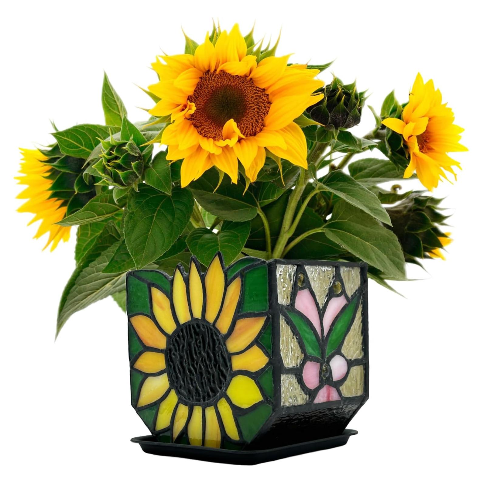 Maceta de Jardín de Vidrio Templado Entlityful Girasol 11.7x13.1cm