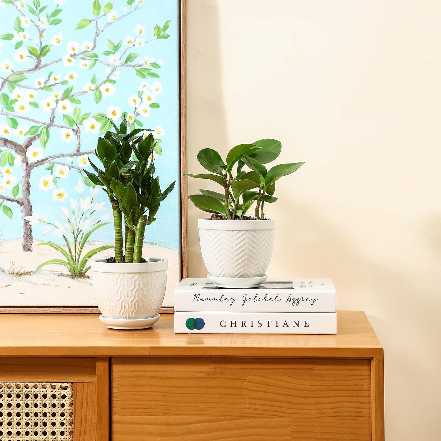 Macetas de Cerámica Sureasy 11.9 cm con Drenaje, Juego de 4