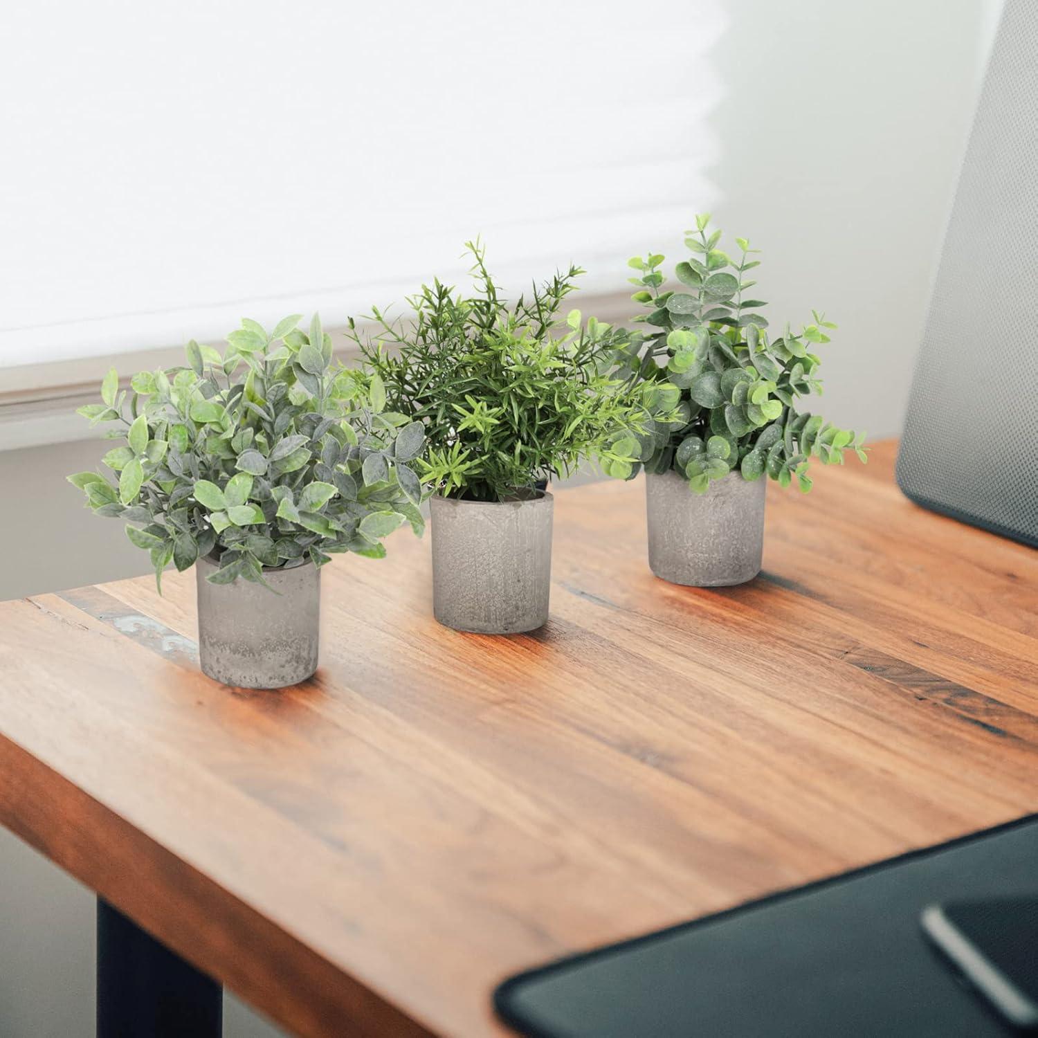 Paquete de 3 Plantas Artificiales SHOHAYTO - Eucalipto y Romero