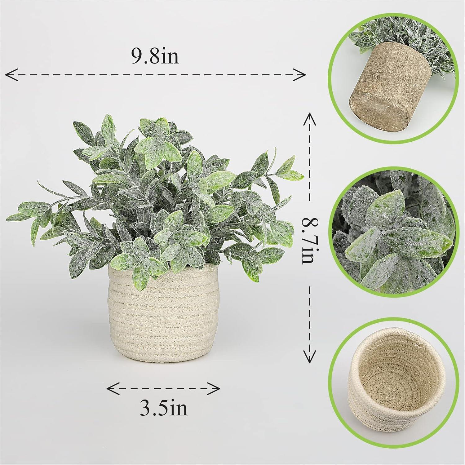 Planta Falsa Eucalipto Hopewood 24.9cm para Decoración Interior